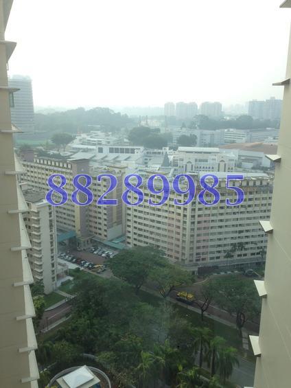 Trellis Towers (D12), Condominium #158730562